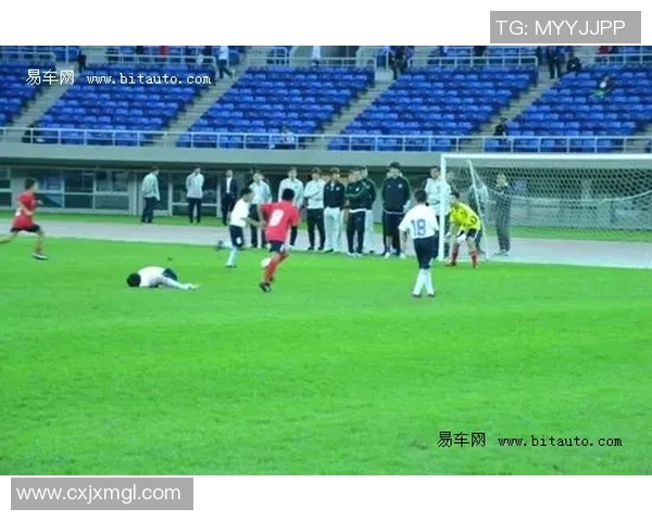 少年苏白追梦足球场成就明星之路的励志故事